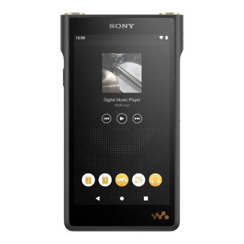 Замена стекла Sony NW-WM1AM2 Black